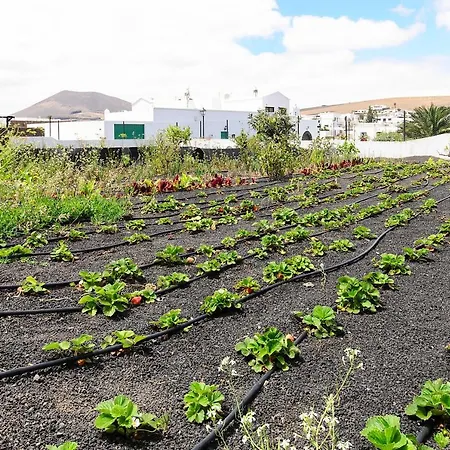 Casa Angeles 1 Тао